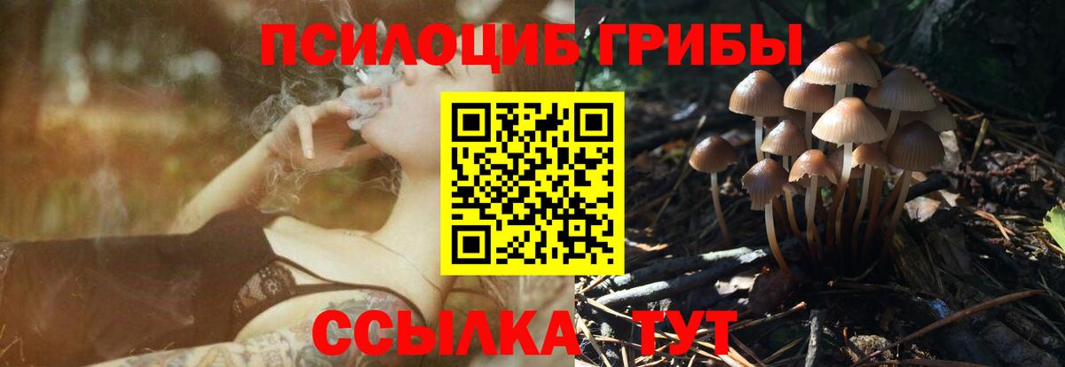 Майский  Галлюциногенные грибы ЛСД  Вход с VPN 
